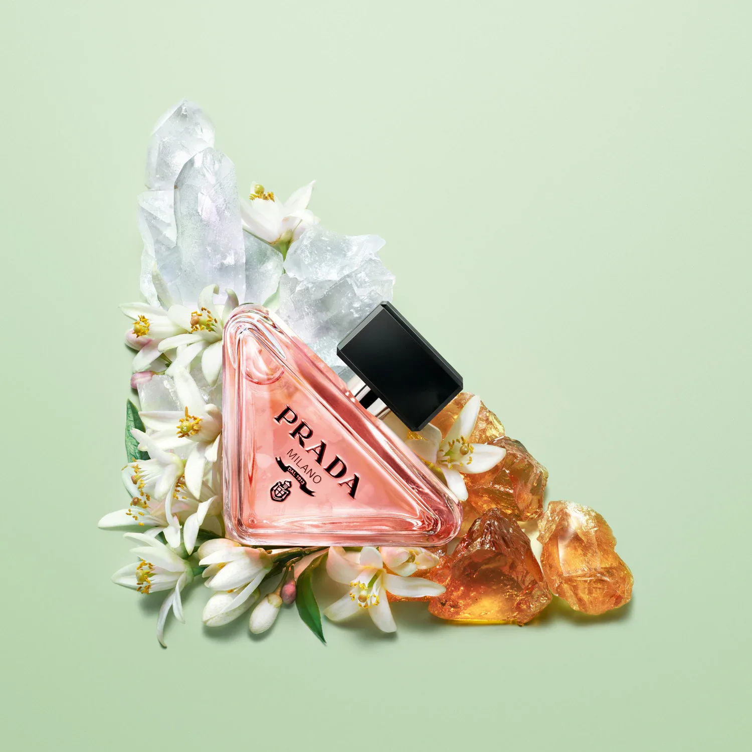 paradoxe - eau de parfum