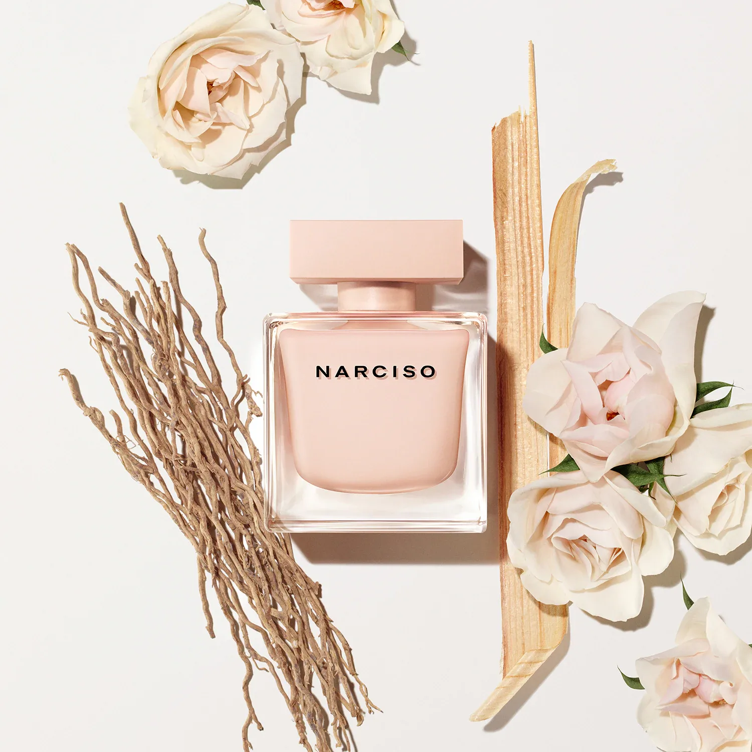 narciso poudrée - eau de parfum