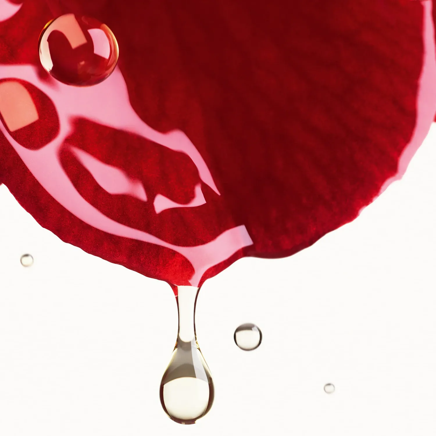 n°1 de chanel - red camellia serum-in-mist