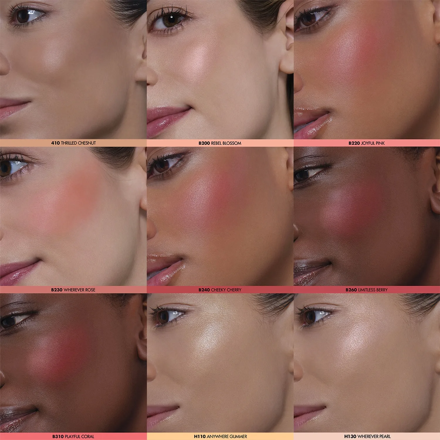 artist face powders - allık