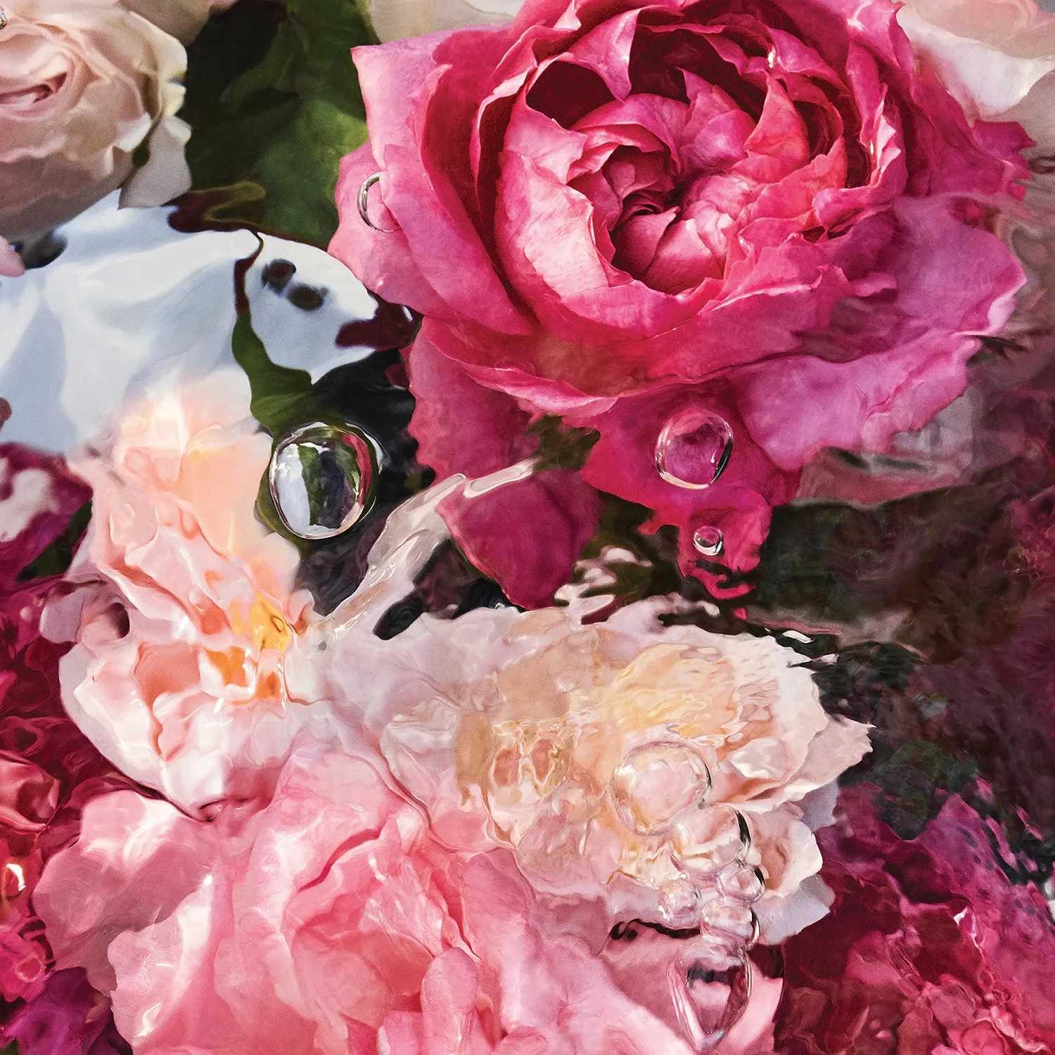 rosa rossa- eau de toilette