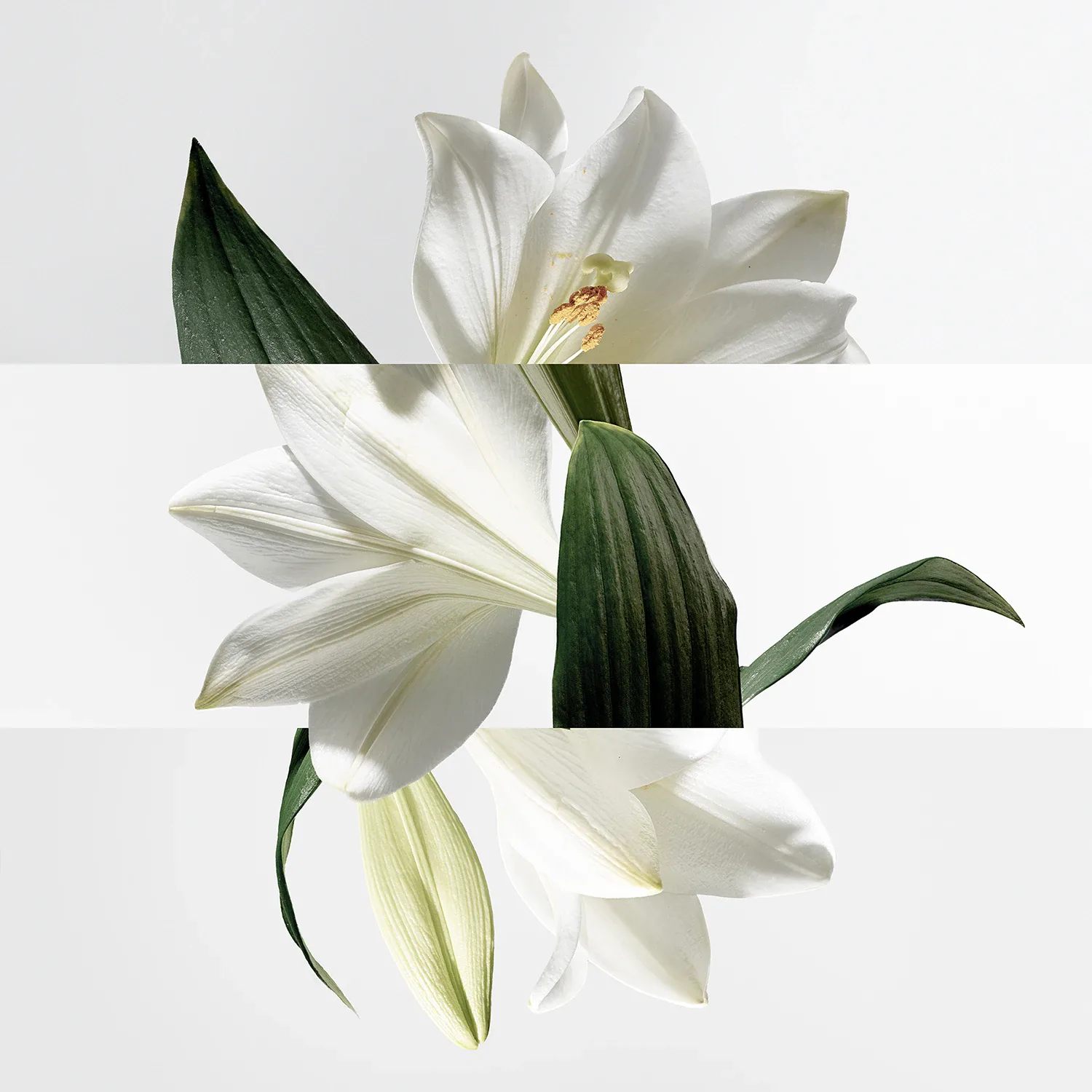 un jardin sur la lagune - eau de toilette