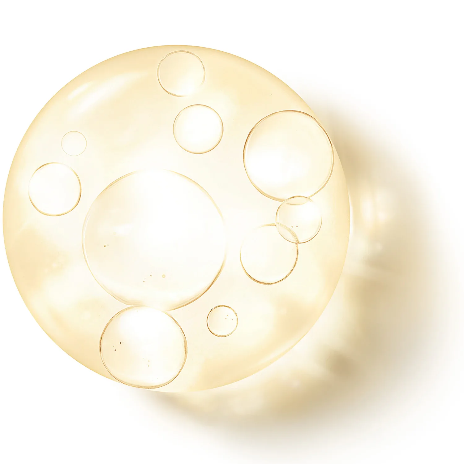orchide imperial - oil pump