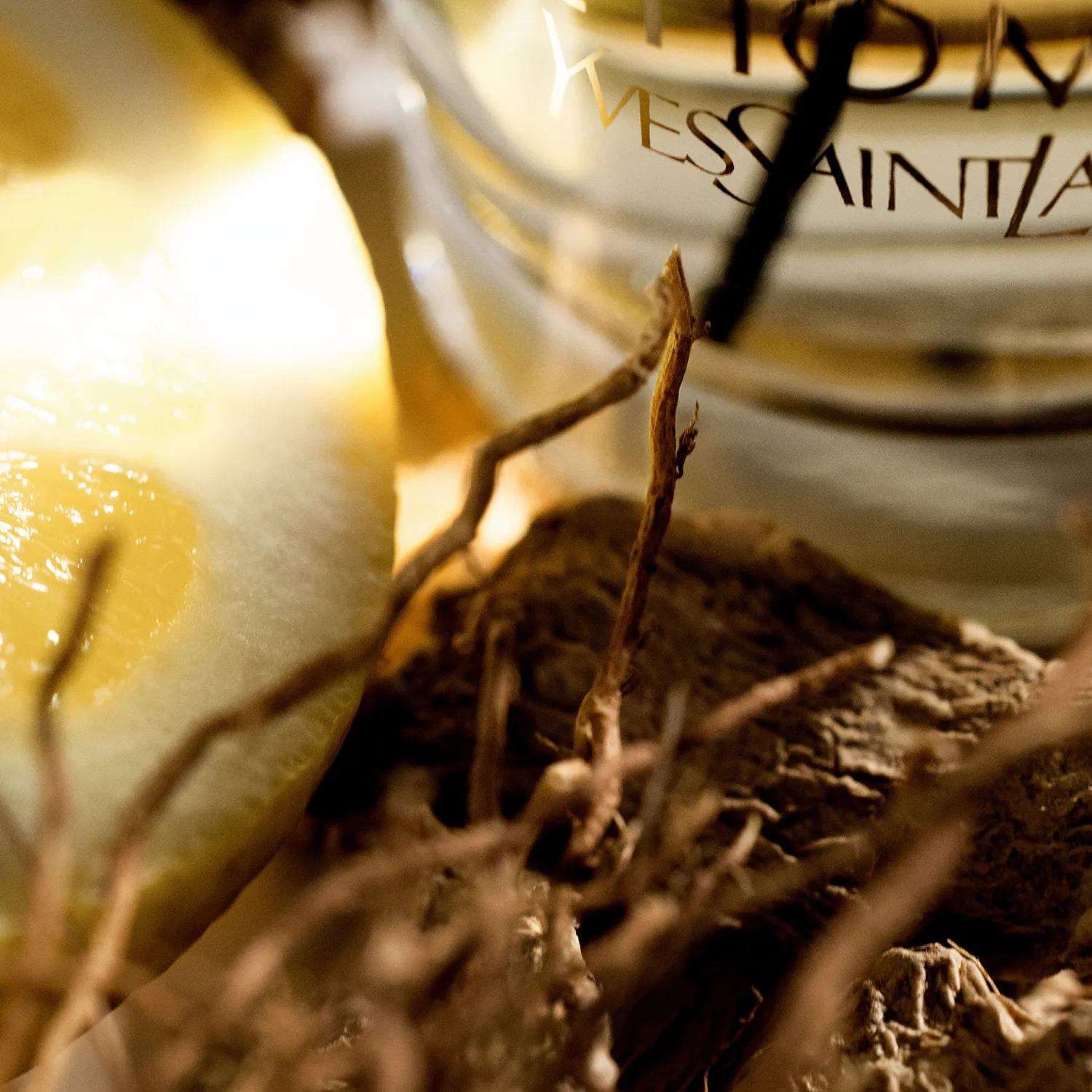 l'homme - eau de toilette originale