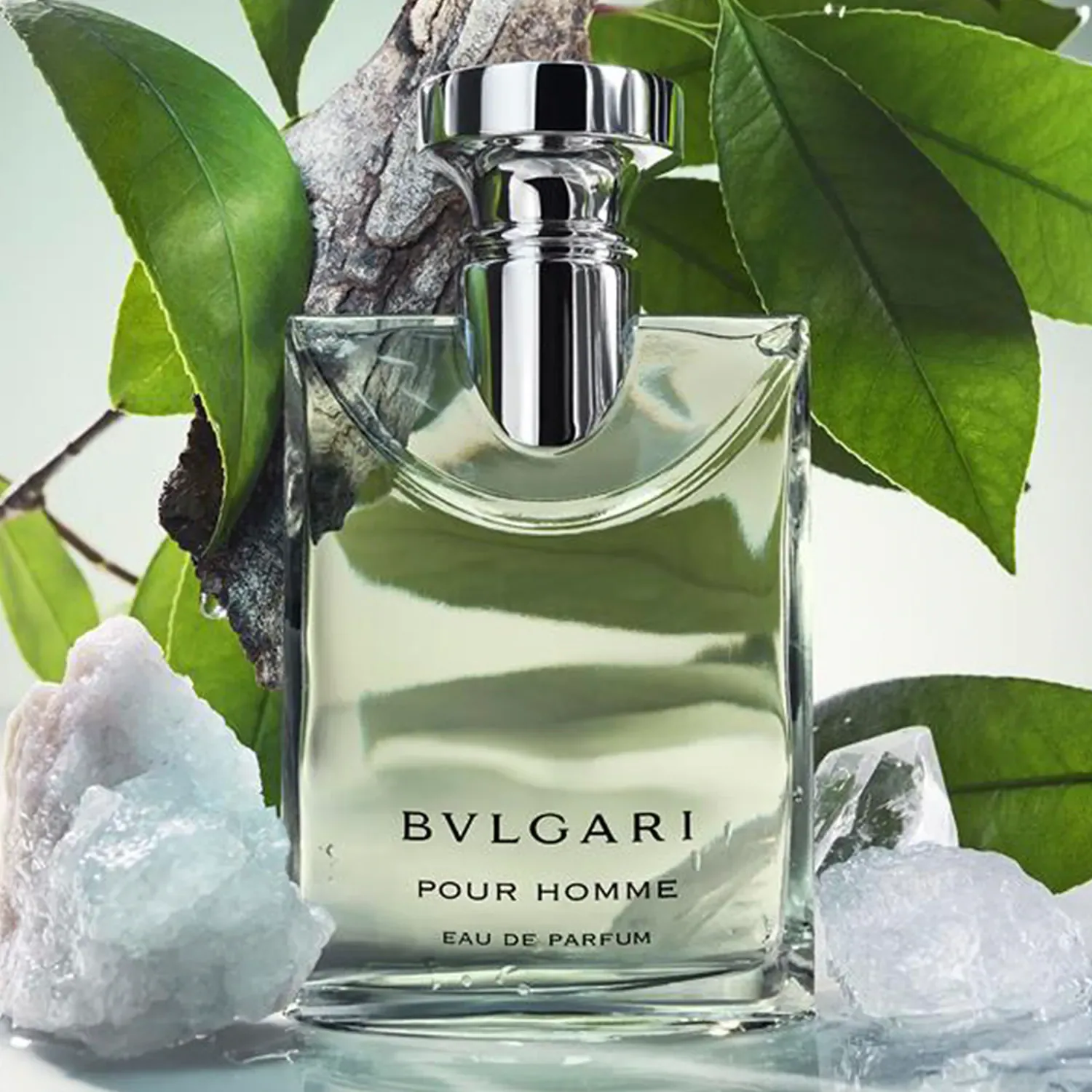 pour homme – eau de parfum