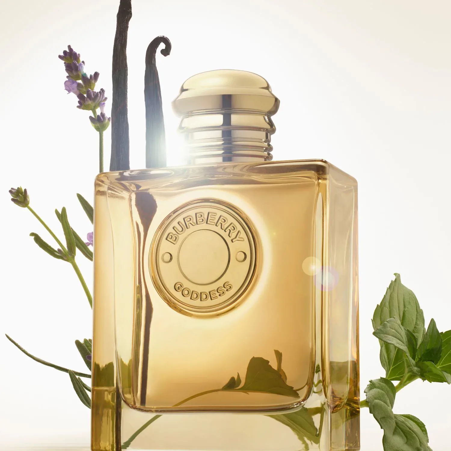 goddess - eau de parfum intense