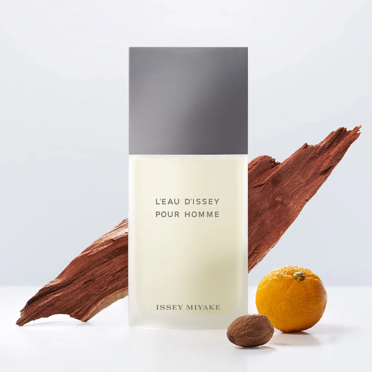l'eau d'issey pour homme - eau de toilette