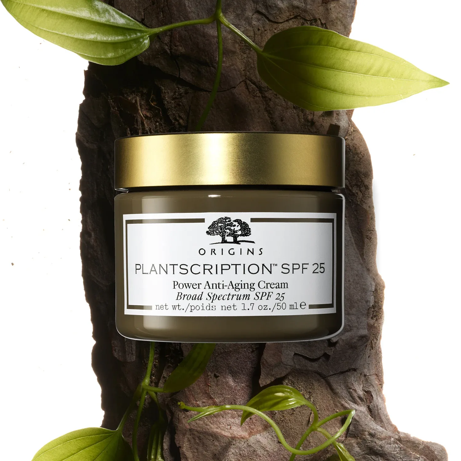 plantscription spf 25 power cream 50 ml