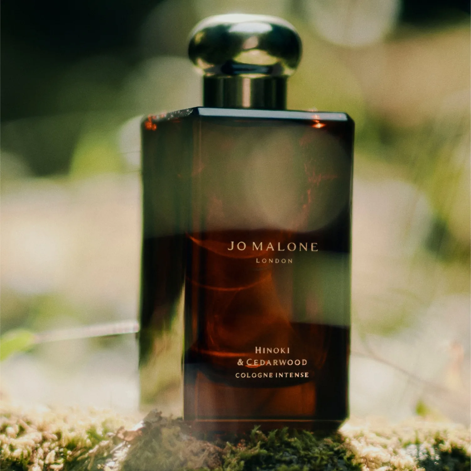 hinoki & cedarwood cologne intense