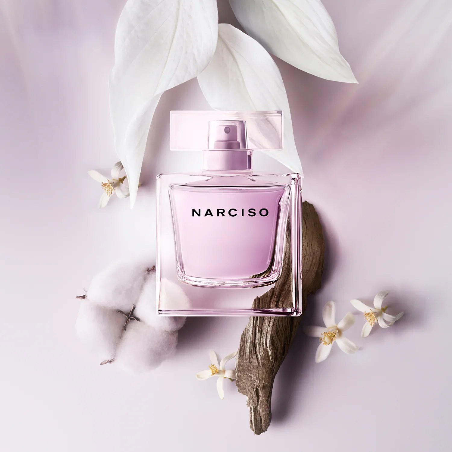 narciso radiant - eau de parfum