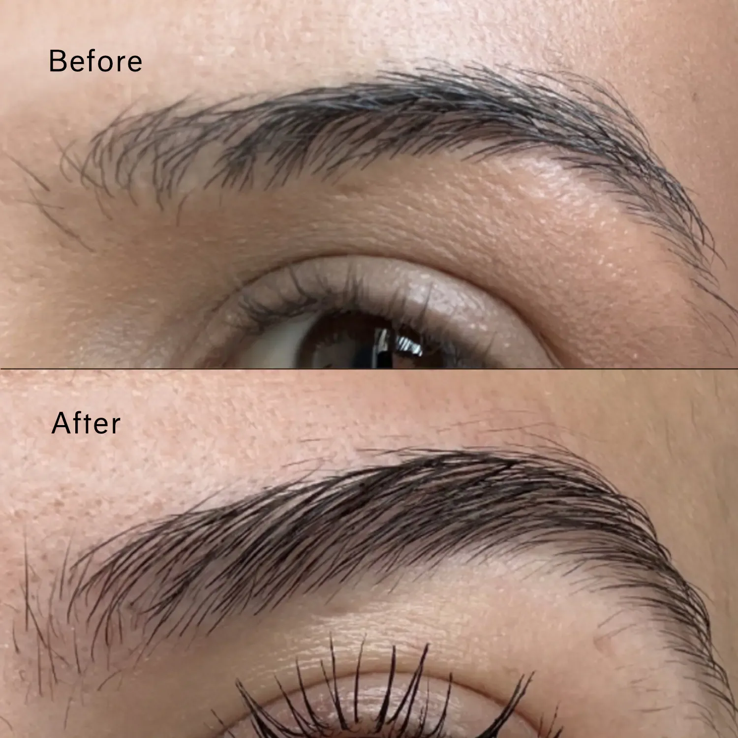 pitta brow serum - kaşlar için yoğunlaştırıcı serum