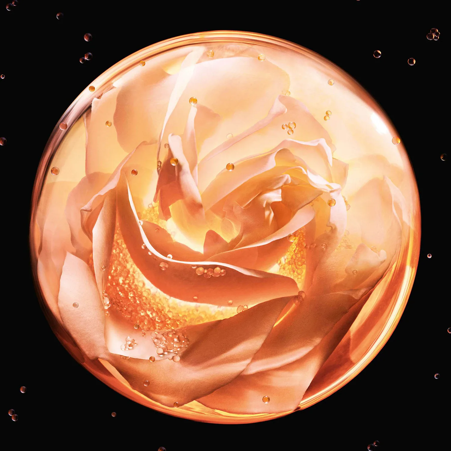 dior prestige le micro-sérum de rose yeux - besleyici göz çevresi