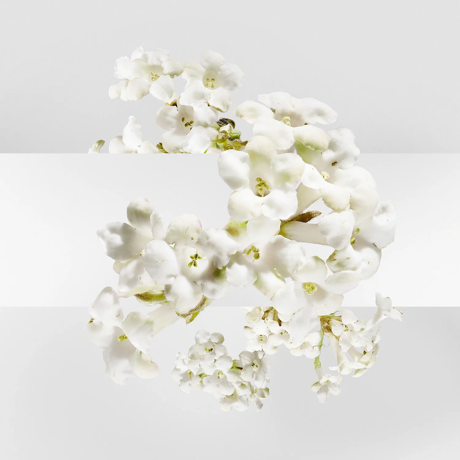 un jardin sur la lagune - eau de toilette