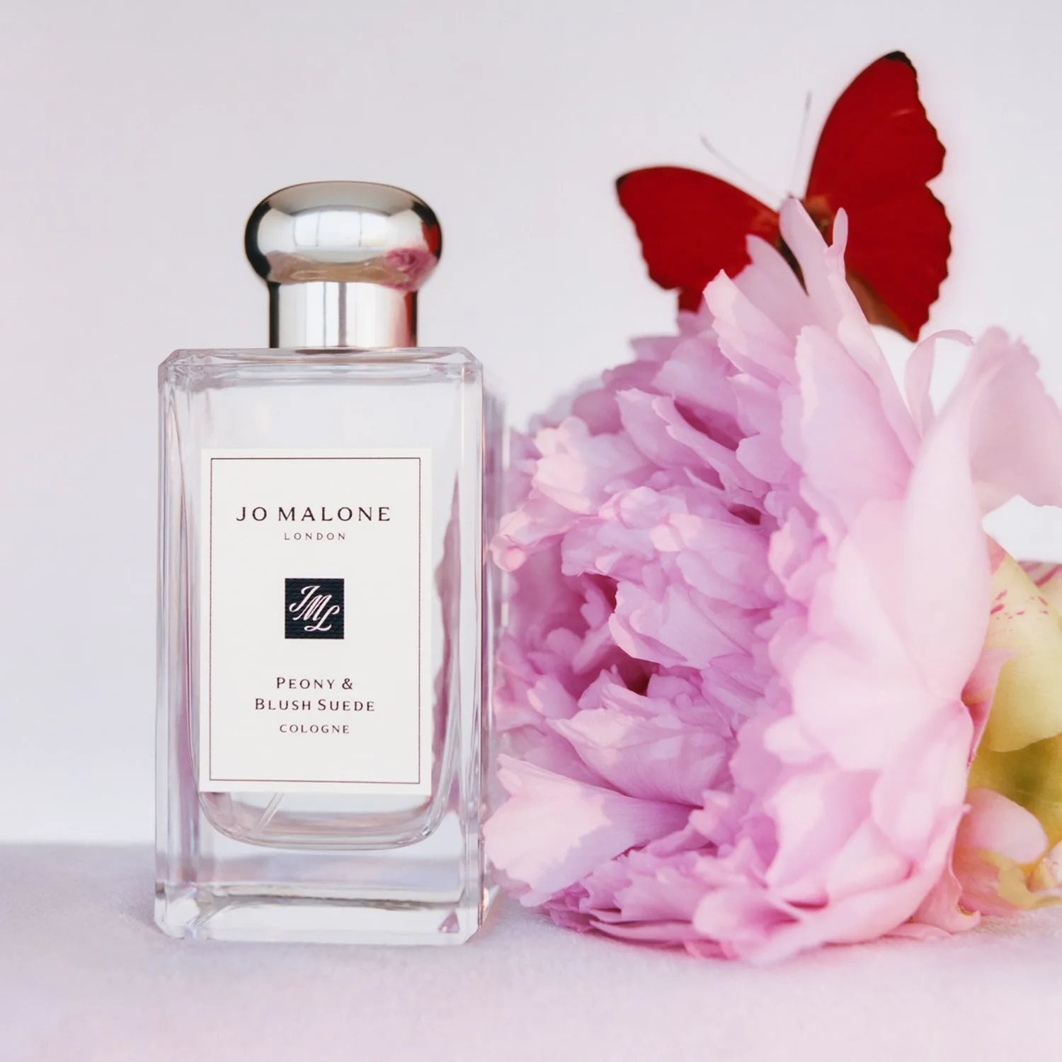 peony & blush suede - cologne