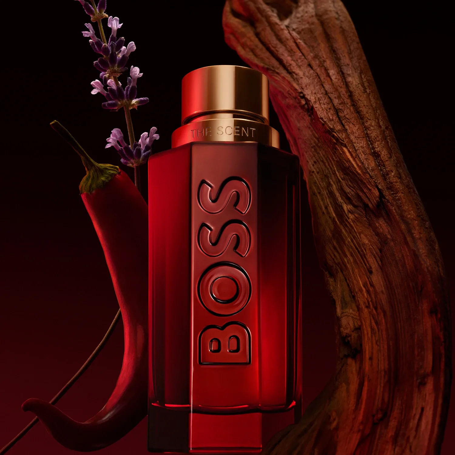 the scent elixir for him - parfum