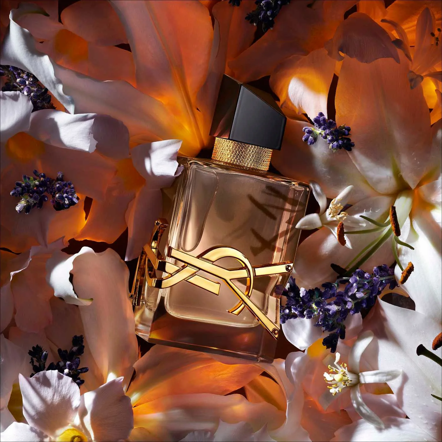 libre flowers & flames - eau de parfum