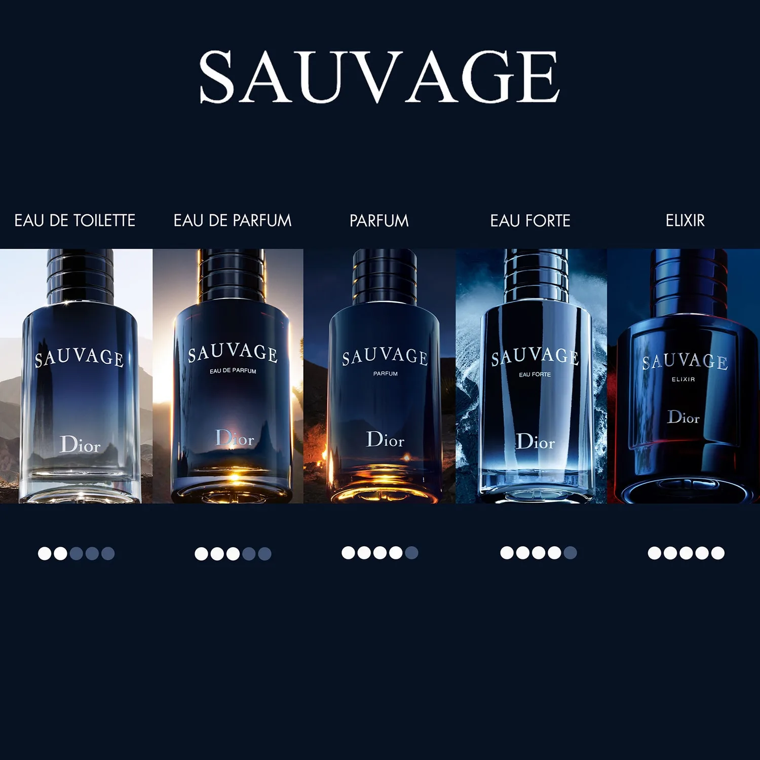 sauvage elixir - erkek parfüm