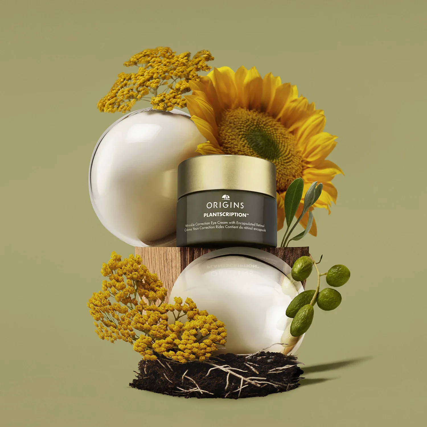 plantscription - kırışıklık görünümü karşıtı göz kremi
