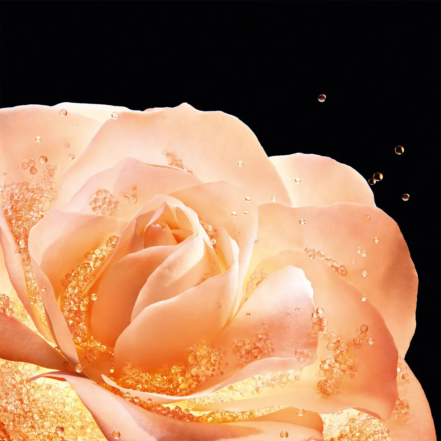 dior prestige la lotion essence de rose - lotion