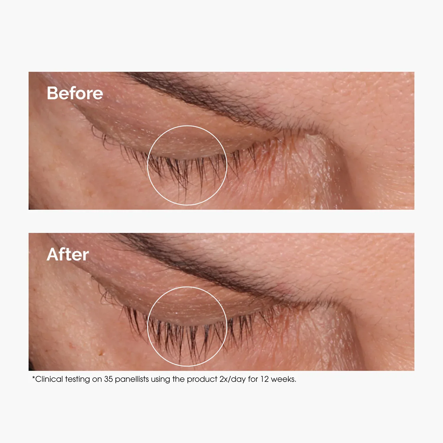 multi-peptide lash and brow serum - yoğun görünüm kaş kirpik serumu