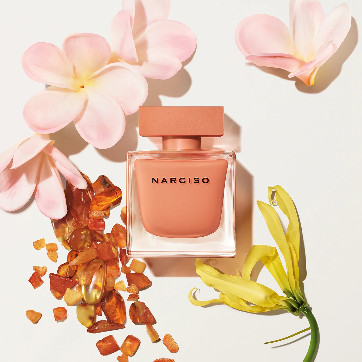 narciso ambrée - eau de parfum