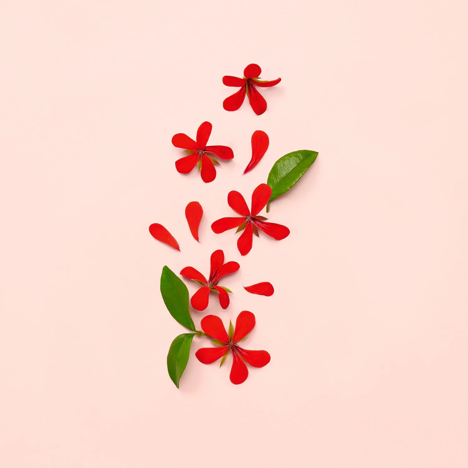 gucci bloom - eau de parfum