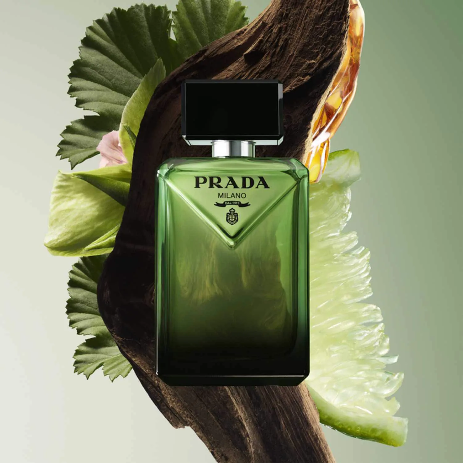 paradigme - eau de parfum