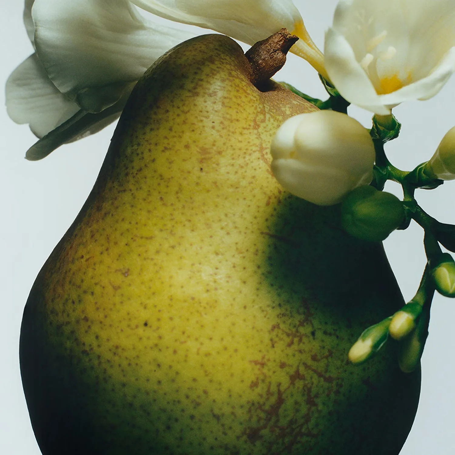 english pear & sweet pea - seyahat boy