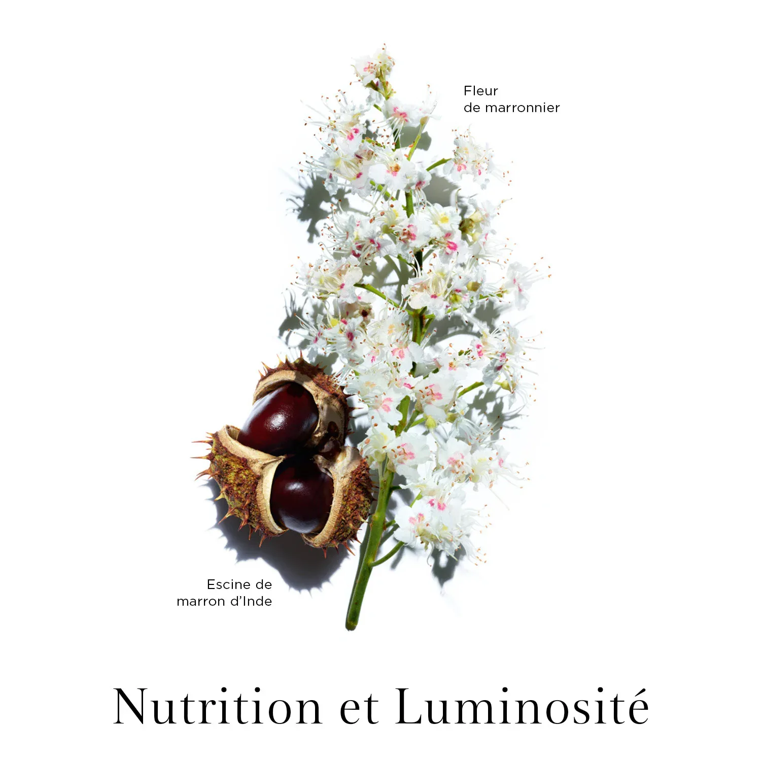 clr nutri-lumiere night cream - gece bakım kremi